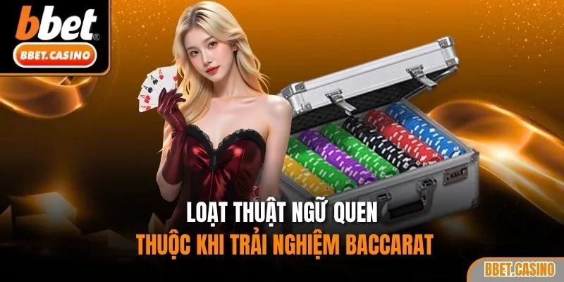 Loạt thuật ngữ quen thuộc khi trải nghiệm Baccarat