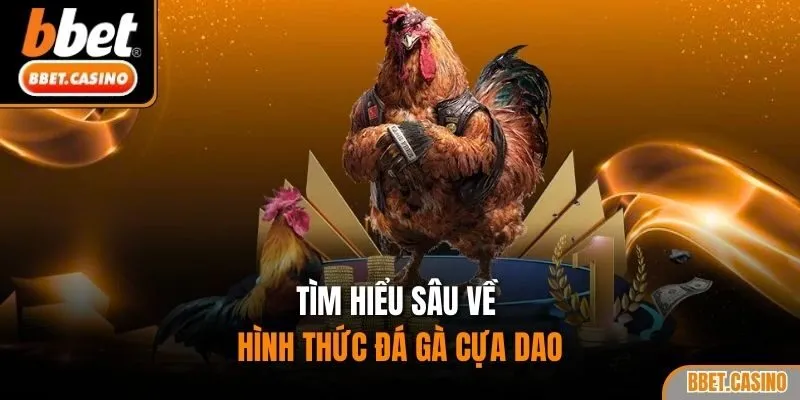 Tìm hiểu sâu về hình thức đá gà cựa dao