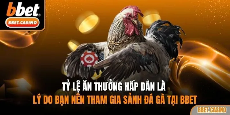 Tỷ lệ ăn thưởng hấp dẫn là lý do bạn nên tham gia sảnh đá gà tại BBET