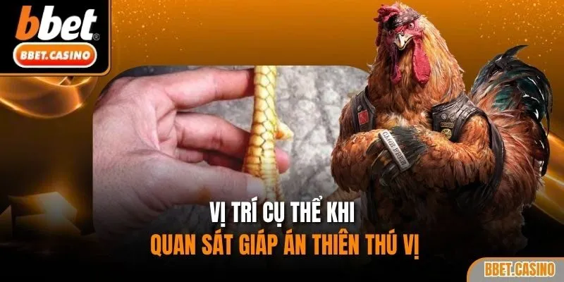 Vị trí cụ thể khi quan sát giáp Án Thiên thú vị