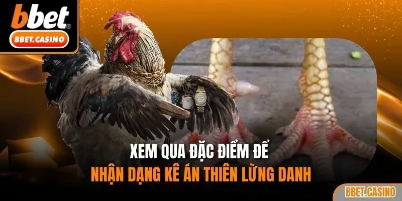 Xem qua đặc điểm để nhận dạng kê án thiên lừng danh